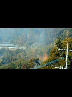 [x]林野火災に遭遇 - YouTube