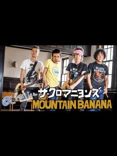 [x]α-STATION Special Program『ザ・クロマニヨンズ “MOUNTAIN BANANA”』2023年1月20日【甲本ヒロト ...