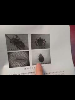 [x]トコジラミとその効果的な防除法① - ニコニコ動画