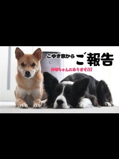[x]【私事ですが…】ご報告したい事があります - YouTube