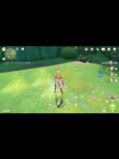 [x]原神 / スメール / パルディスディアイ西の野外の苗畑（#33741）[nurseries in the wilds][pardis ...