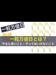 [x]一粒万倍日とは？やってはいけないこと・やると良いこと｜日本の年中行事YouTubeチャンネル - YouTube