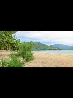 [x]和心をくすぐる 日本三大松原（首都圏発）│近畿日本ツーリスト