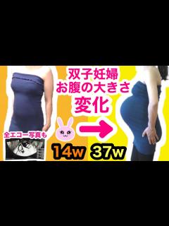 [x]★双子妊婦★お腹の大きさ変化14w→37w★全エコー写真も★ - YouTube