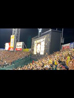 [x]阪神タイガース18年振り優勝🏆🐯 胴上げの瞬間 阪神甲子園球場ライトスタンドから - YouTube