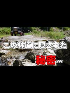 [x]驚きの発見が!この林道に隠された秘密とは…もしかして栽培しているの!! - YouTube