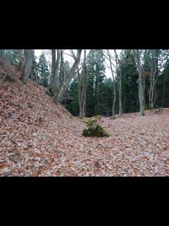 [x]柏木城跡の旅行観光情報 | AVA Travel（アバトラベル）