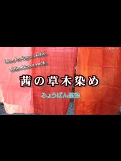[x]茜（あかね）の草木染め 布と毛糸を染める【茜色】【染色】【媒染】 - YouTube