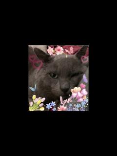 [x]ユウちゃんについてお話します！！ - YouTube