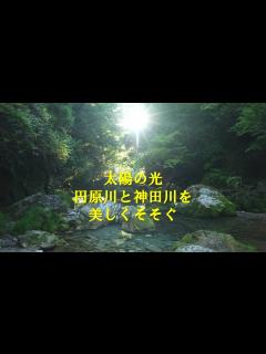 [x]【4K 太陽の光がまぶしい 美しい水面に太陽の光が映しだされる程の綺麗な円原川と実は隠れ光芒が観れる神崎川】セミの音とともに川の音を聴きながら ...