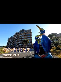 [x]国民宿舎≪鵜の岬≫の周りをお散歩🚶｟茨城県日立市｠ 2023.12.9 - YouTube