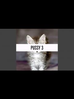 [x]Pussy 3 - YouTube