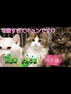 [x]可愛すぎてキュンです♪ - YouTube