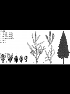 [x]蒲郡市 スギ薬局蒲郡竹島店！！閉店した🤔 - YouTube