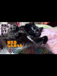 [x]ひとつ屋根の下に暮らす様になって1年と8ヶ月 14:49 1/13 - YouTube