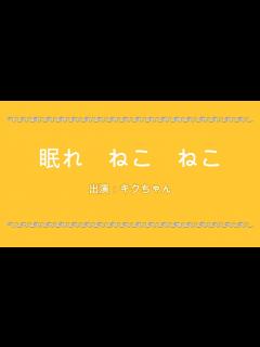 [x]眠れねこねこ ねこねこ55 キクちゃん（チャンネル登録者100人記念） - YouTube