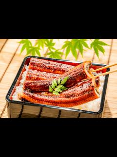 [x]うなぎ水槽 人工餌料を食べた！【2018日淡水槽#37】 - YouTube