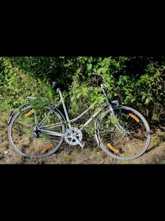 [x]Kostenlose foto : Weg, Sport, Rad, Fahrzeug, Boden, Extremsport ...