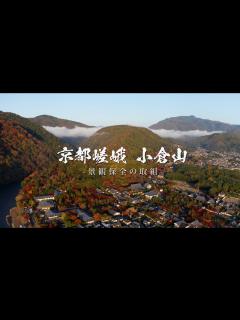 [x]京都嵯峨 小倉山 〜森林再生の取り組み〜 - YouTube
