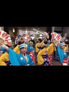 [x]よさこい ほにや 2018年の初踊り〜ほにや本店前①〜 - YouTube