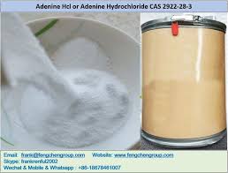 Adenine Hcl 또는 Adenine Hydrochloride CAS 2922-28-3 제조업체 및 ...
